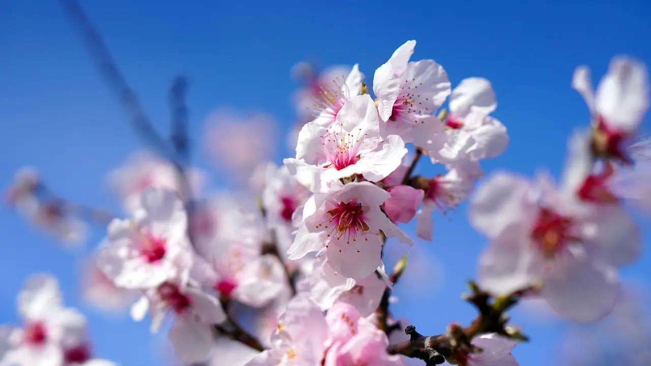 Hvordan er vejret i Catalonien i april?