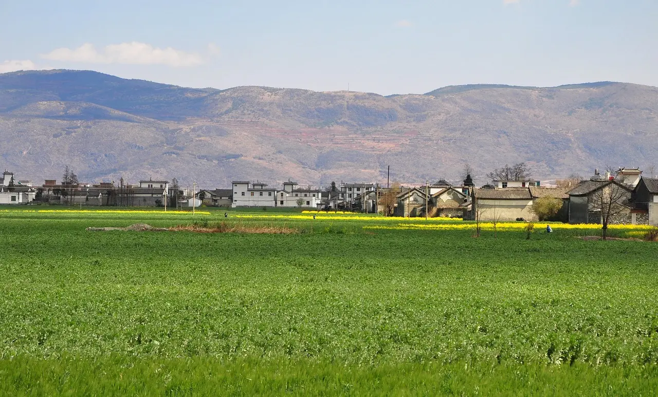 Hvordan køber jeg billetter til Dalí-museet uden kø?