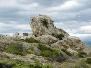 Alt om Festa de Sant Narcís i Girona