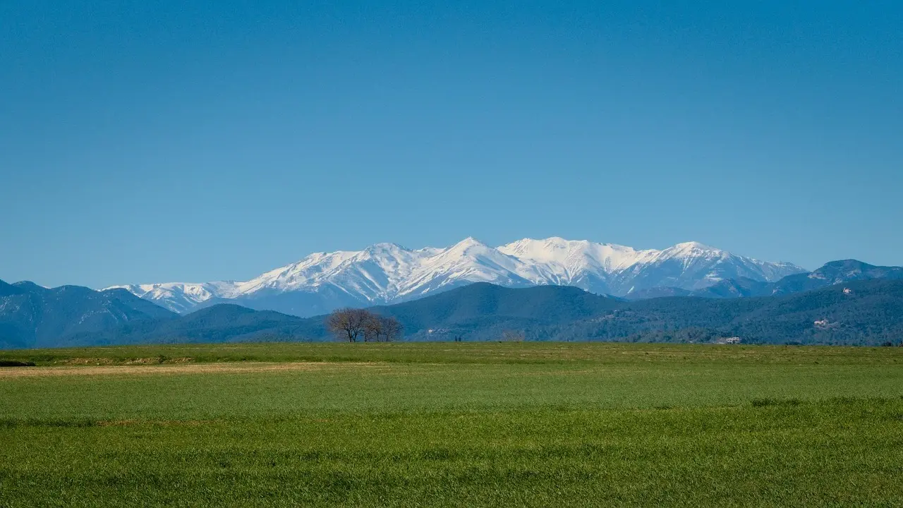 Hvordan er vejret i Catalonien i uge 8?