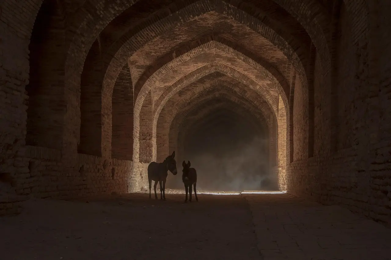 Løsningsord til Frafaldne i krydsord